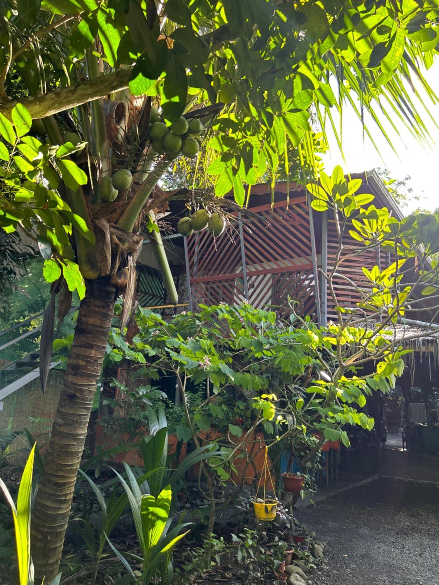 Organico Punta Riel Hotel Cahuita Ngoại thất bức ảnh