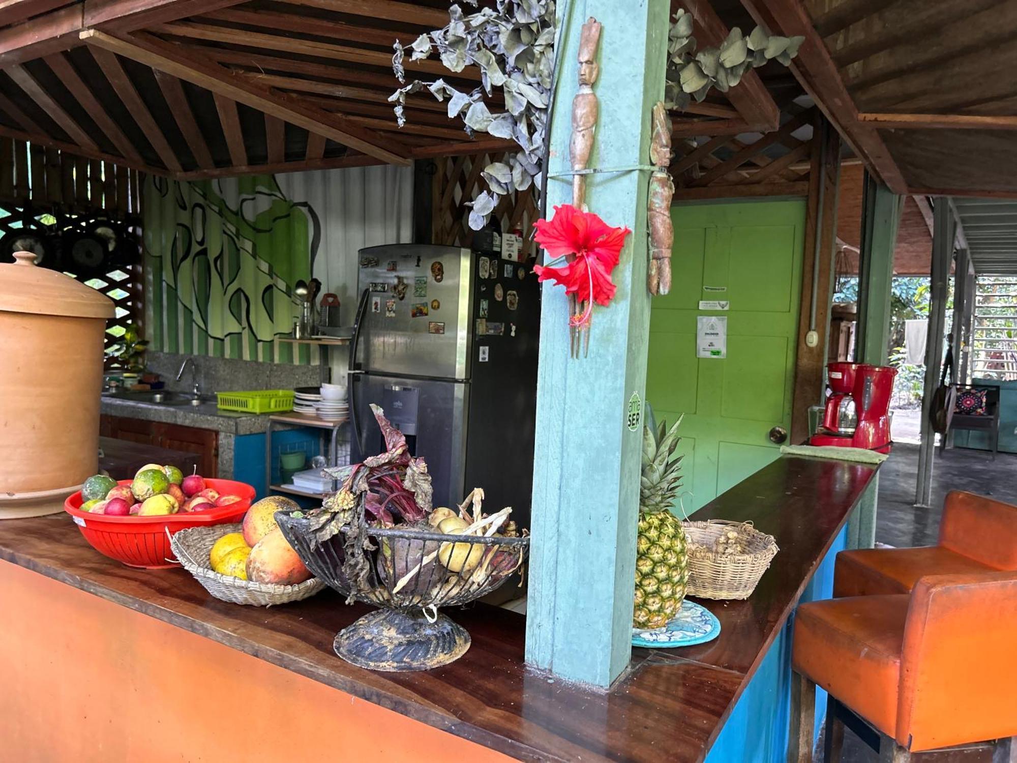 Organico Punta Riel Hotel Cahuita Ngoại thất bức ảnh