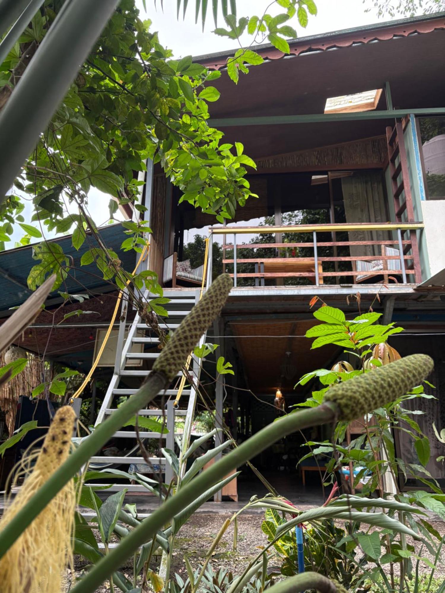 Organico Punta Riel Hotel Cahuita Ngoại thất bức ảnh