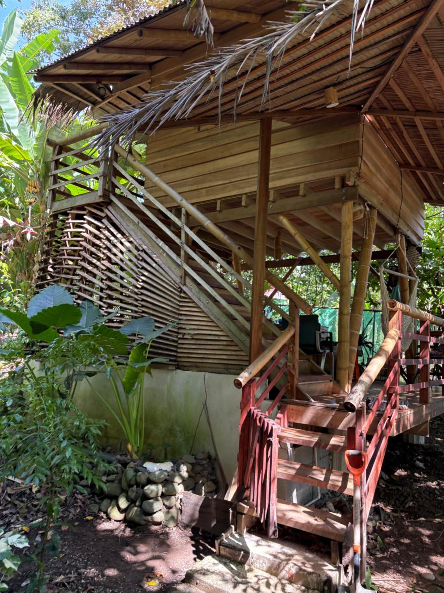 Organico Punta Riel Hotel Cahuita Ngoại thất bức ảnh