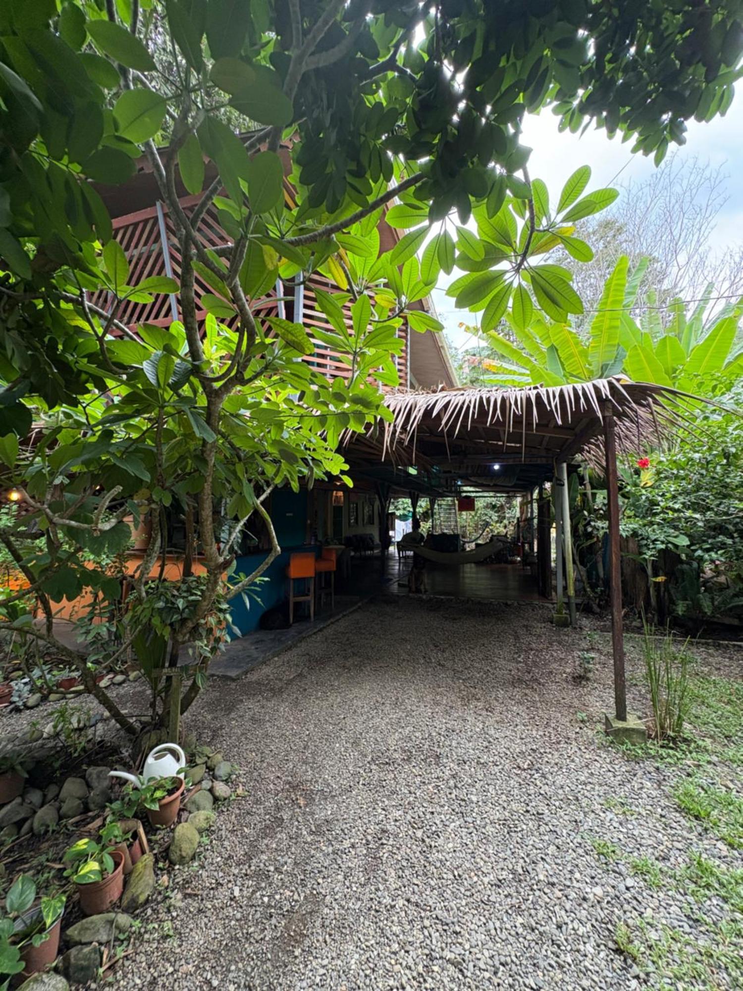 Organico Punta Riel Hotel Cahuita Ngoại thất bức ảnh