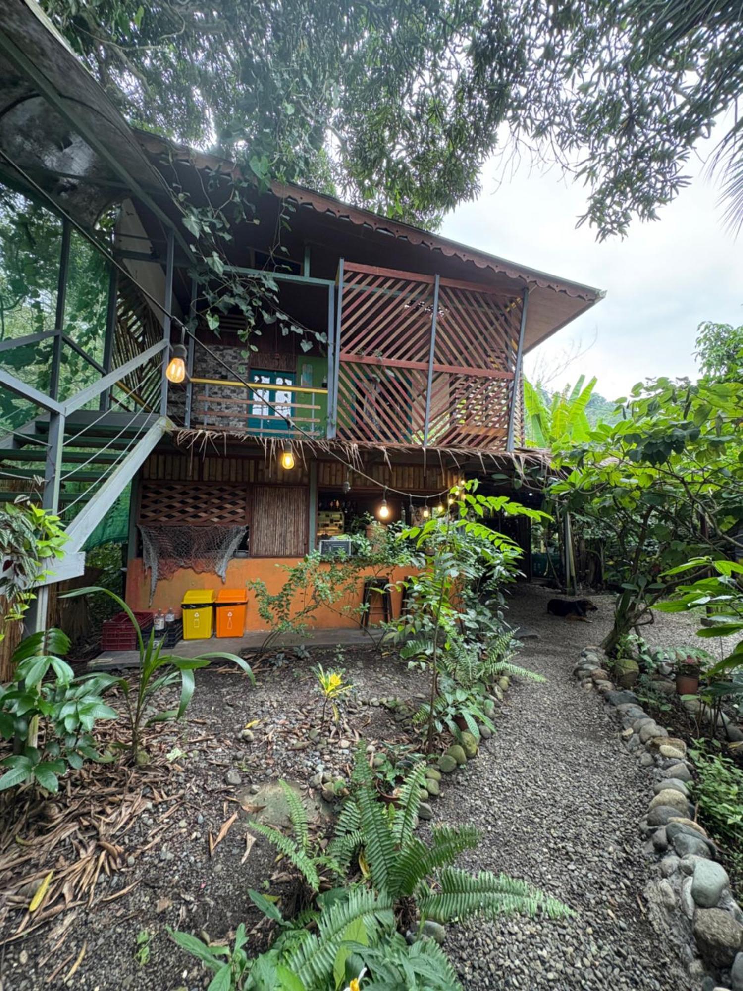 Organico Punta Riel Hotel Cahuita Ngoại thất bức ảnh