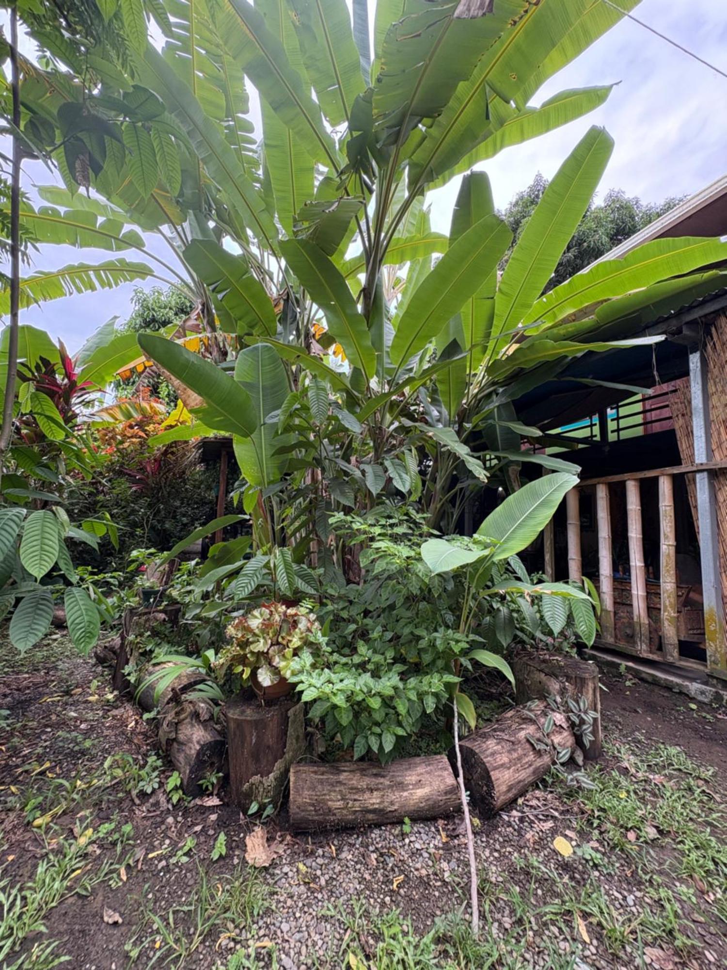 Organico Punta Riel Hotel Cahuita Ngoại thất bức ảnh