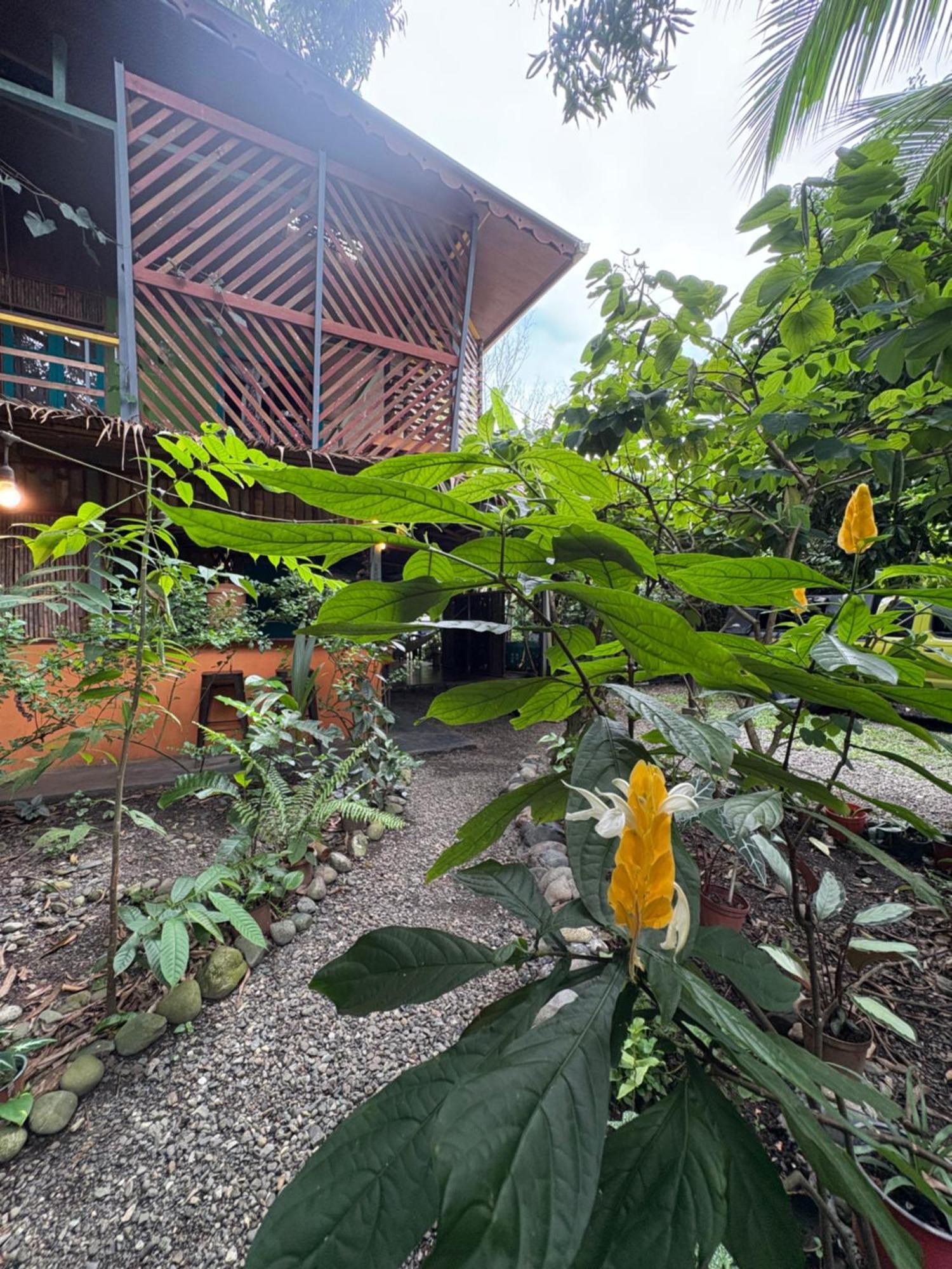 Organico Punta Riel Hotel Cahuita Ngoại thất bức ảnh