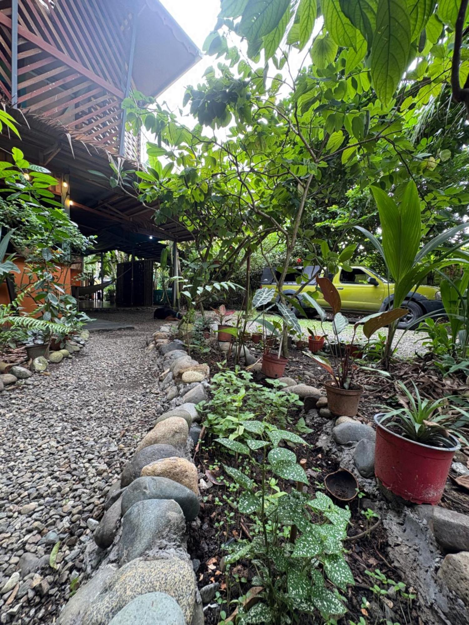 Organico Punta Riel Hotel Cahuita Ngoại thất bức ảnh